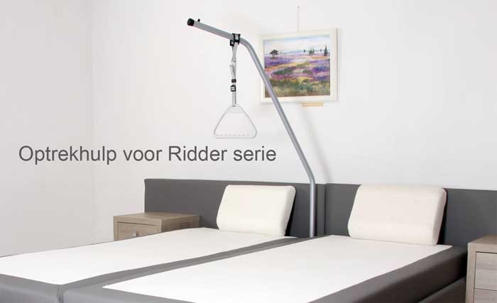 Papegaai voor onze ridder en Forest collectie